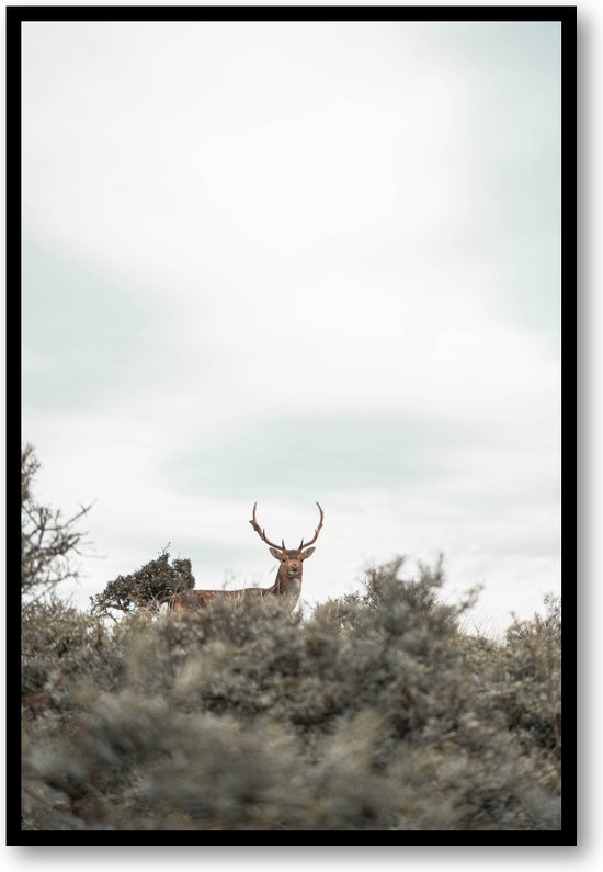 Hert - Fotoposter met Lijst