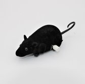 opwindbare Muis zwart