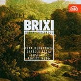 Vera Hermanová, Capella Regia Musicalis, Robert Hugo - Brixi: Organ concertos (CD)