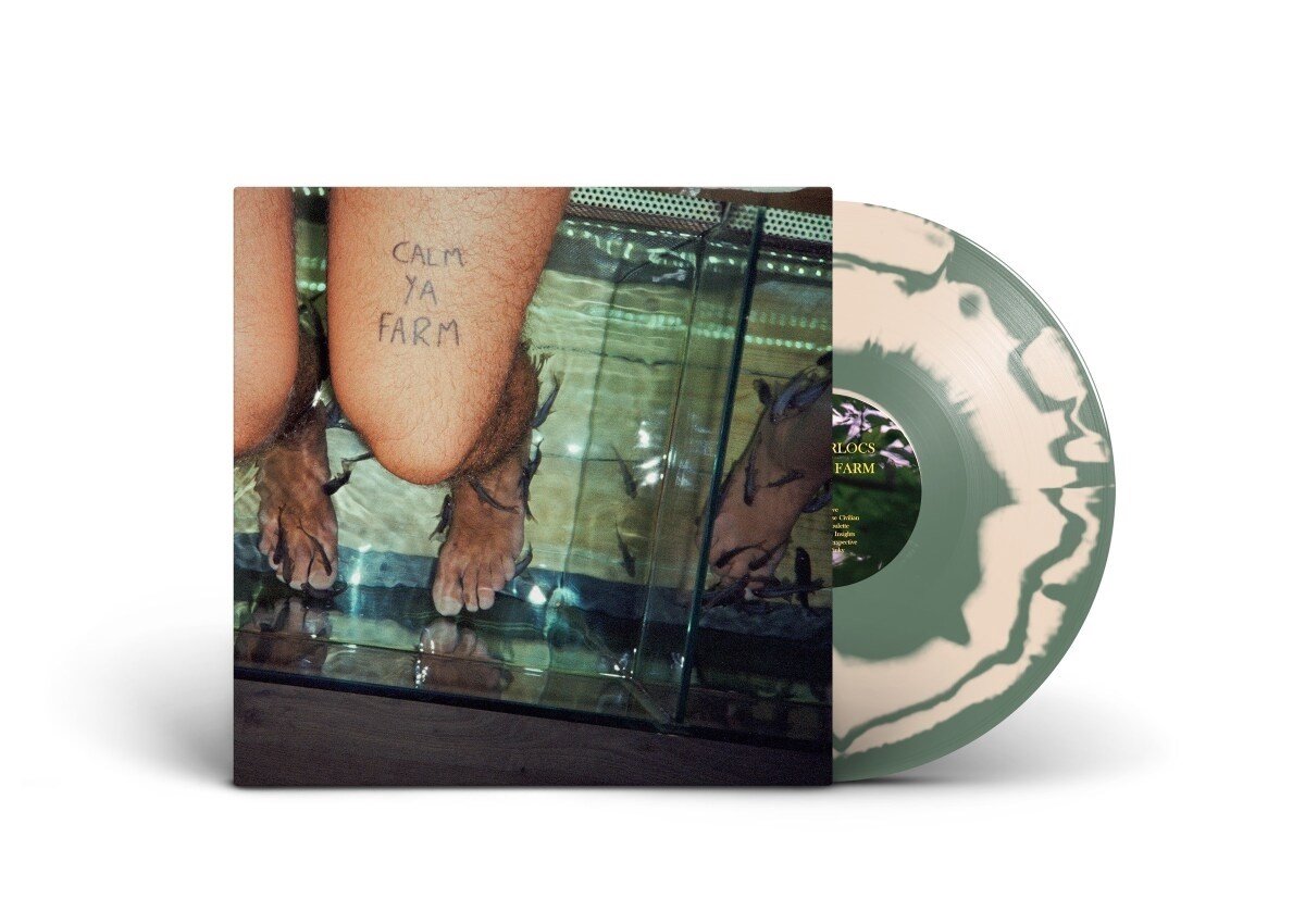 Murlocs - Calm Ya Farm (LP) (Coloured Vinyl) (Limited Edition)