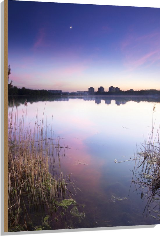 Hout - Ondergaande Zon achter Gebouwen bij Meer - 80x120 cm - 9 mm dik - Foto op Hout (Met Ophangsysteem)