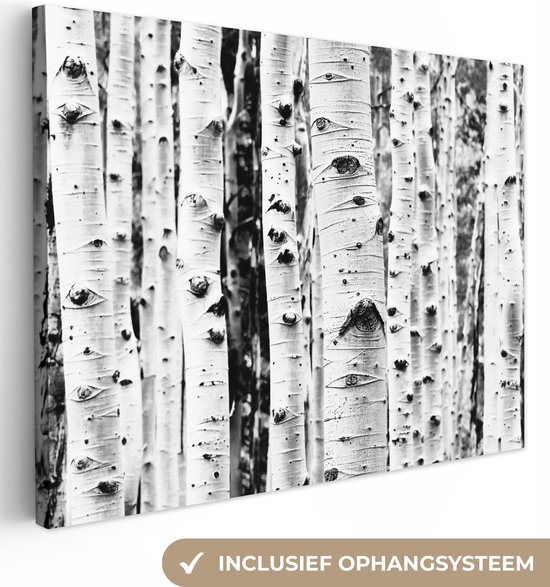 Canvas schilderij 160x120 cm - Wanddecoratie Bomen - Hout - Zwart wit - Natuur - Muurdecoratie woonkamer - Slaapkamer decoratie - Kamer accessoires - Schilderijen