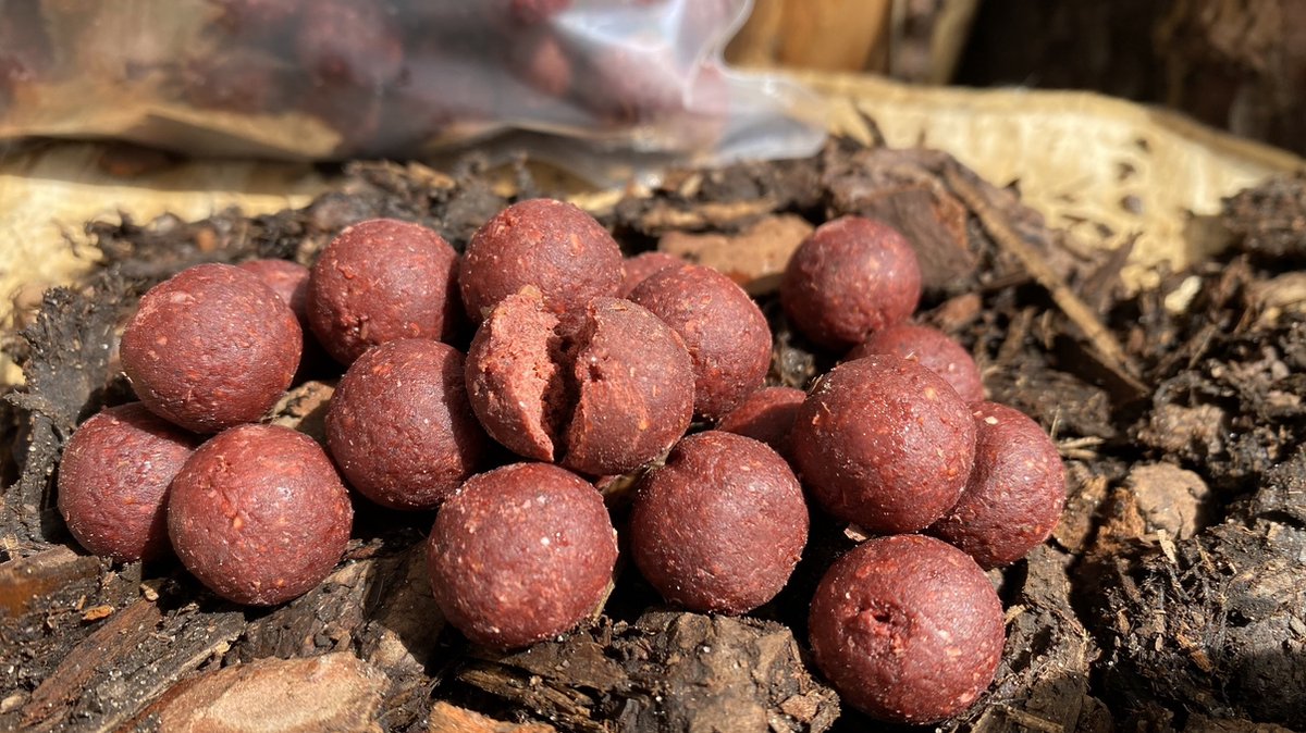 The Shell | Scopex, Fish & Garlic | SHELLLIFE | Karpervissen | Boilies | 15mm | 1kg | Carpmission |