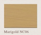 Painting the Past Proefpotje Marigold (NC06) 60 mL