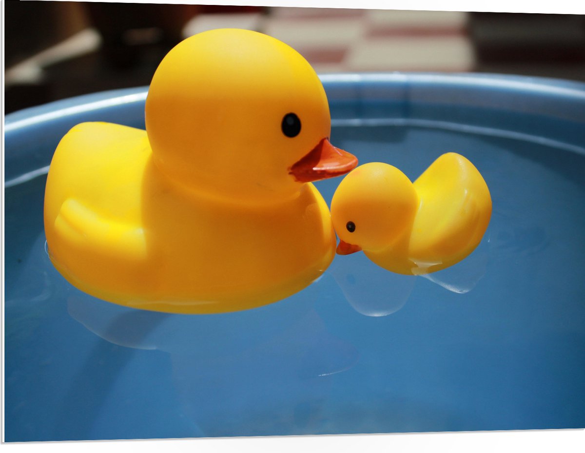 PVC Schuimplaat- Moeder en Baby Badeenden in het Water - 100x75 cm Foto op PVC Schuimplaat