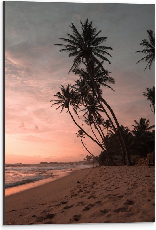 WallClassics - Dibond - Groepje Hoge Palmbomen op het Strand bij Zonsondergang - 40x60 cm Foto op Aluminium (Met Ophangsysteem)