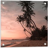 WallClassics - Tuinposter – Groepje Hoge Palmbomen op het Strand bij Zonsondergang - 50x50 cm Foto op Tuinposter (wanddecoratie voor buiten en binnen)