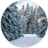 WallClassics - PVC Schuimplaat Muurcirkel - Pad tussen Bomen in Besneeuwd Landschap - 70x70 cm Foto op Muurcirkel (met ophangsysteem)