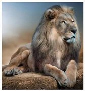 Diamond painting de luxe 40x40cm - Prachtige stoere leeuw