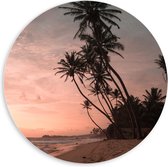 WallClassics - PVC Schuimplaat Muurcirkel - Groepje Hoge Palmbomen op het Strand bij Zonsondergang - 60x60 cm Foto op Muurcirkel (met ophangsysteem)