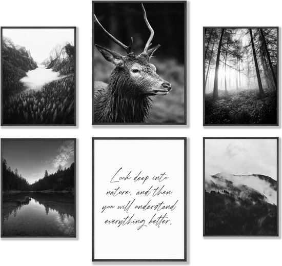 Natuur Poster Set van 6 - Posters Zwart Wit - Woonkamer Muurdecoratie - Scandinavisch - Inspirerende Wandafbeeldingen Set - Stijlvolle Wanddecoratie - A3 Poster - A4 Poster