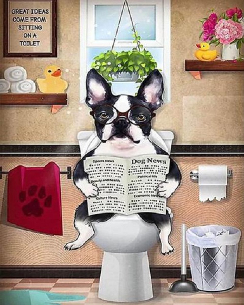 Lienz® Diamond Painting volwassenen 40x50cm - Rond - Hond op toilet - Volledig - Pakket Volwassenen