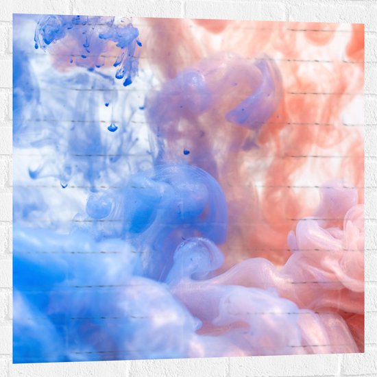 Muursticker - Blauwe en Oranje Rook tegen Witte Achtergrond - 80x80 cm Foto op Muursticker