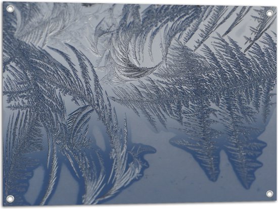 Tuinposter – Bevroren Vogel Veren - 80x60 cm Foto op Tuinposter (wanddecoratie voor buiten en binnen)