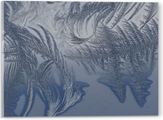 Acrylglas - Bevroren Vogel Veren - 40x30 cm Foto op Acrylglas (Met Ophangsysteem)