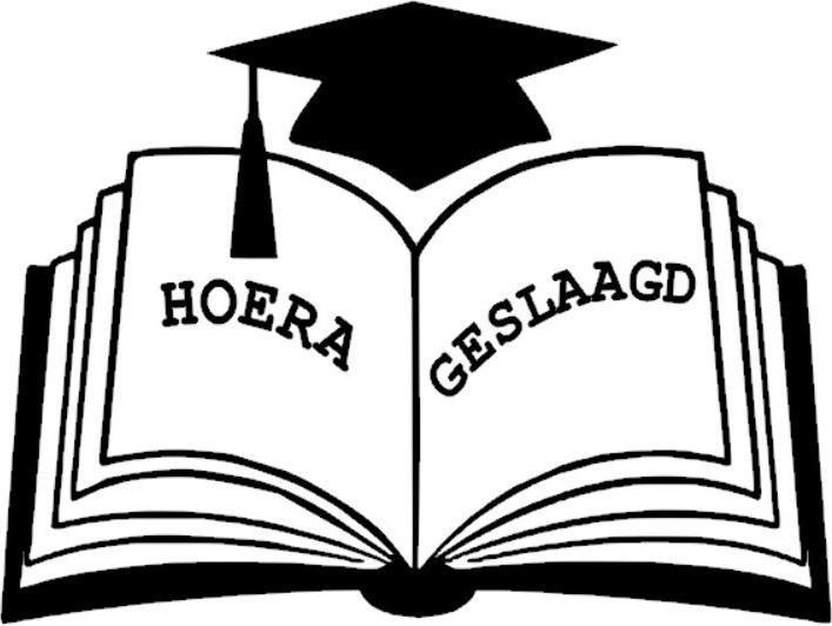 Sticker raam hoera geslaagd boek | Rosami