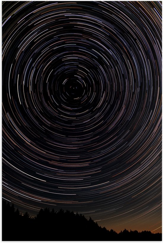 Poster (Mat) - Grote Lichtcirkels in de Lucht boven Rij Bomen - 40x60 cm Foto op Posterpapier met een Matte look