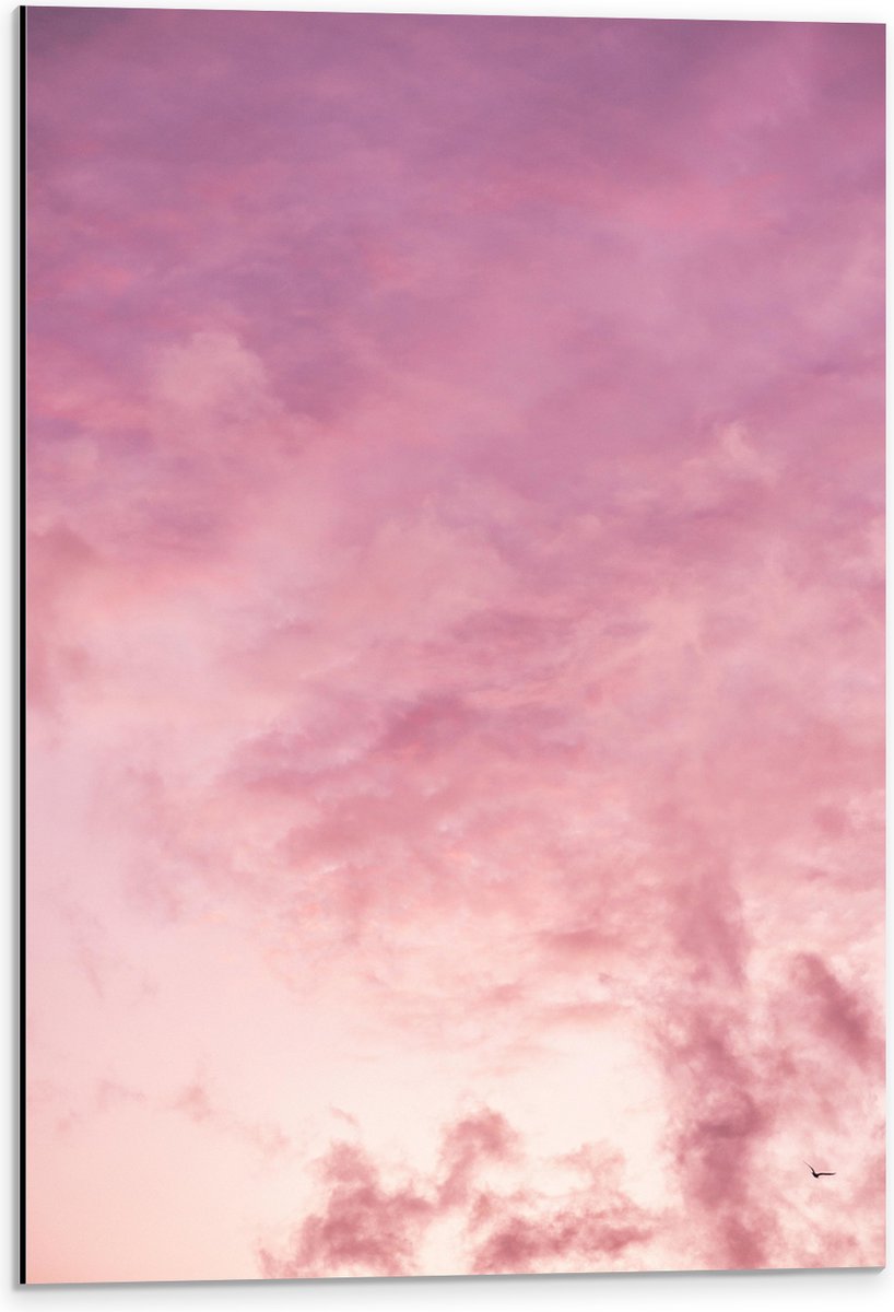 Dibond - Zachtroze Lucht met Sluierbewolking - 40x60 cm Foto op Aluminium (Wanddecoratie van metaal)
