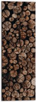 Dibond - Verzameling Smalle Doorgesneden Boomstammen - 30x90 cm Foto op Aluminium (Met Ophangsysteem)