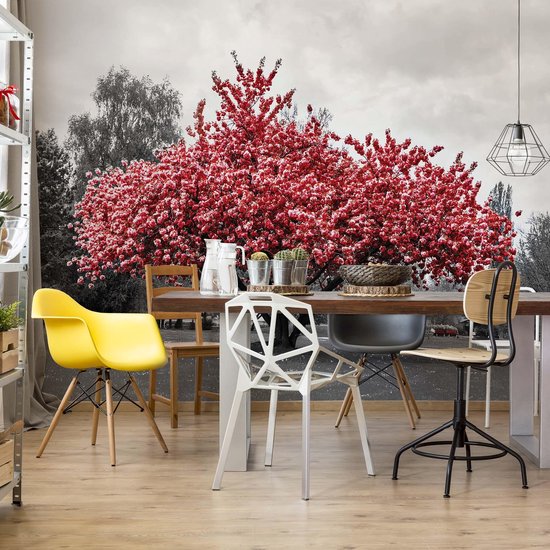 Fotobehang Red Tree Black And White VEL 152.5cm x 104cm 130gr/m2