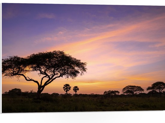 PVC Schuimplaat- Zonsopkomst achter Bomen tijdens Zonsopkomst in Murchison Falls, Uganda - 75x50 cm Foto op PVC Schuimplaat