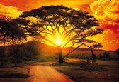 Fotobehang Sunset Africa Nature Tree | DEUR - 211cm x 90cm | 130g/m2 Vlies