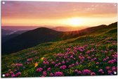 Tuinposter – Zonsondergang Verdwijnend achter Gebergte vol Paarse Bloemen - 105x70 cm Foto op Tuinposter (wanddecoratie voor buiten en binnen)