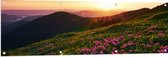 Tuinposter – Zonsondergang Verdwijnend achter Gebergte vol Paarse Bloemen - 150x50 cm Foto op Tuinposter (wanddecoratie voor buiten en binnen)