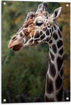 Tuinposter – Zijaanzicht van Kop en Nek van Giraffe - 60x80 cm Foto op Tuinposter (wanddecoratie voor buiten en binnen)