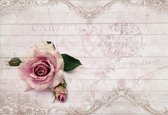 Papier Peint Rose Rose | XXL - 312 cm x 219 cm | Polaire 130g / m2