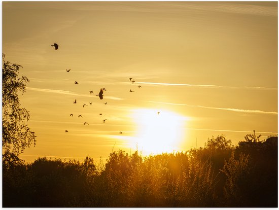 Poster (Mat) - Zwern Vogels Vliegend boven de Bomen tijdens de Mooie Zonsondergang - 40x30 cm Foto op Posterpapier met een Matte look