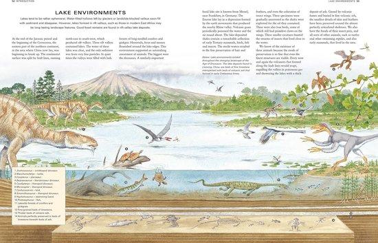 Bouwen en spelen Dinosaurussen, Usborne Publishers | Kartonboekje | 9781836060765 Bouwen en spelen Dinosaurussen, Usborne Publishers | Kartonboekje | 9781836060765
