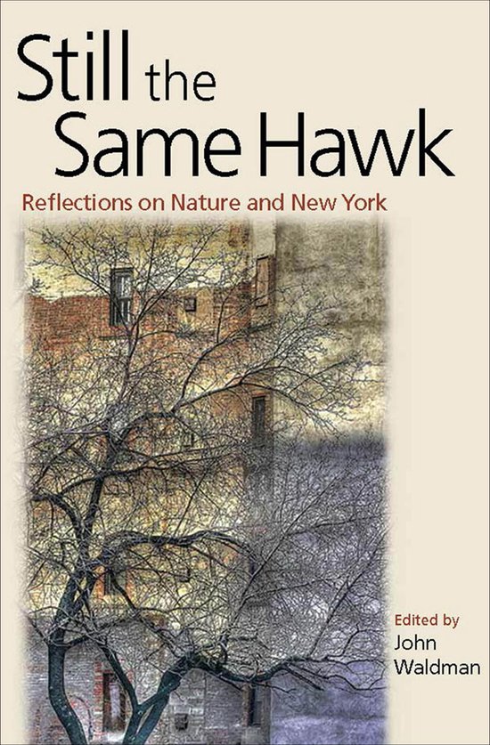 Still the Same Hawk - cover