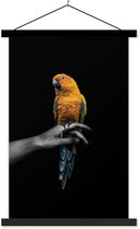 Support pour affiches avec affiche 60 x 90 cm - Affiche scolaire - Vogel - Branche - Perroquet - Affiche textile - Lattes noires