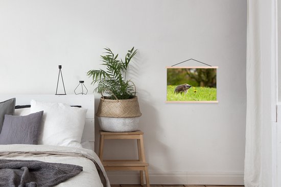 Hérisson en herbe affiche textielposter lattes vierge 60x40 cm