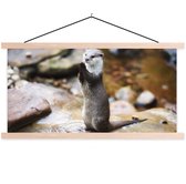 Posterhanger incl. Poster 150x75 cm - Schoolplaat - Otter staat rechtop - Textielposter - Blanke latten
