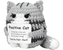 Positive Cat - Positieve Vriendjes - kat - poes - Cadeau Artikel - Gehaakt Poppetje - 8.5 cm - motivatie cadeau - kattenliefhebber - feelgood cadeau