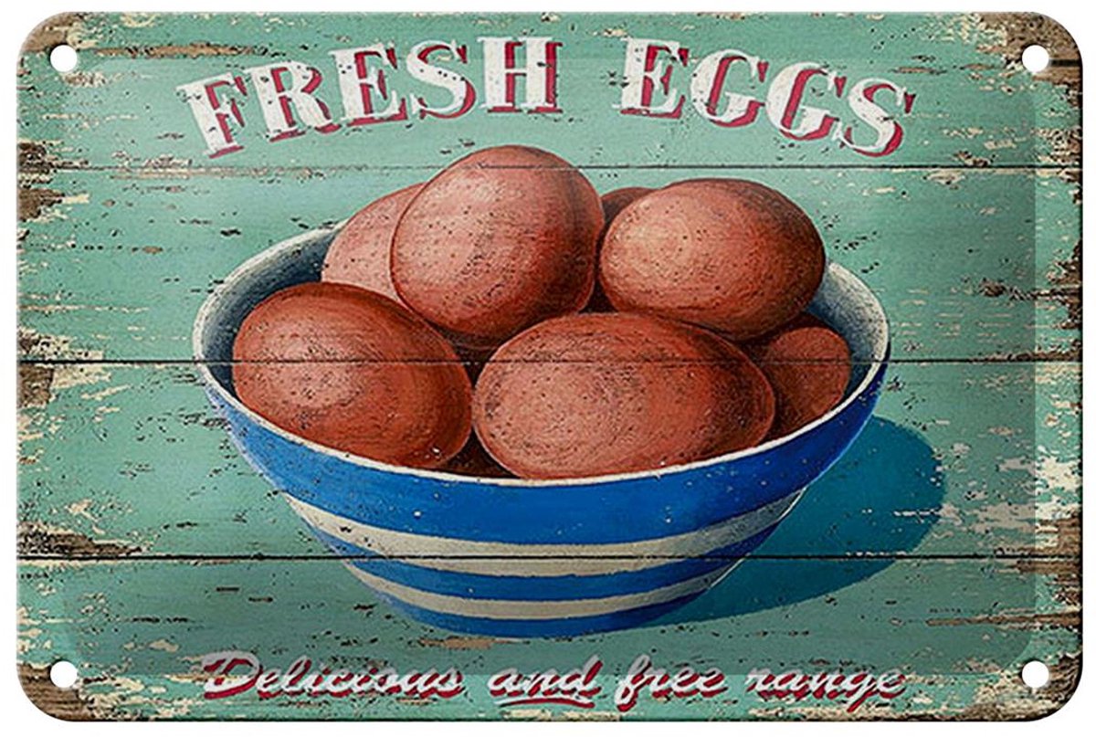 Blechschild Retro 18x12cm fresh eggs Frische Eier