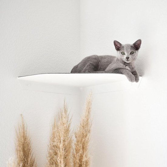 RshPets Kattenmeubelset: moderne wandplank met 3 niveaus met gezellig bed om te klimmen, slapen, spelen en ontspannen (donkere kleur, 4,5 kg RshPets Kattenmeubelset: moderne wandplank met 3 niveaus met gezellig bed om te klimmen, slapen, spelen en ontspannen (donkere kleur, 4,5 kg