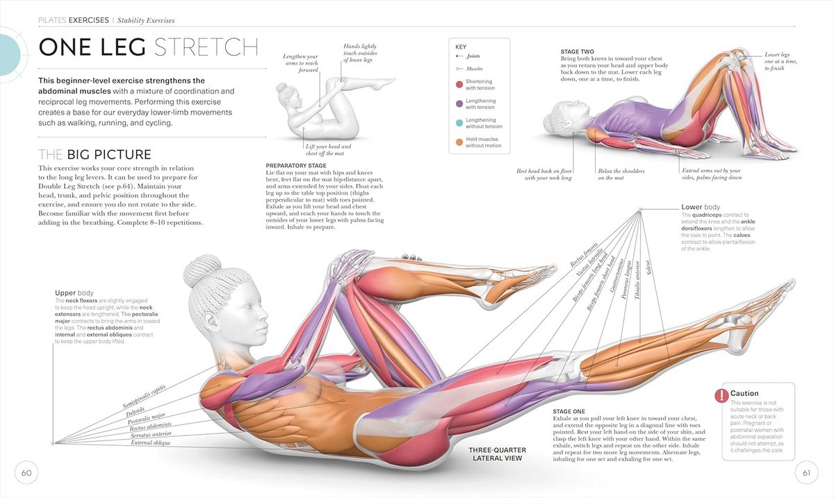 Pilates Anatomie en Fysiologie boek voor Reformers - afbeelding 3