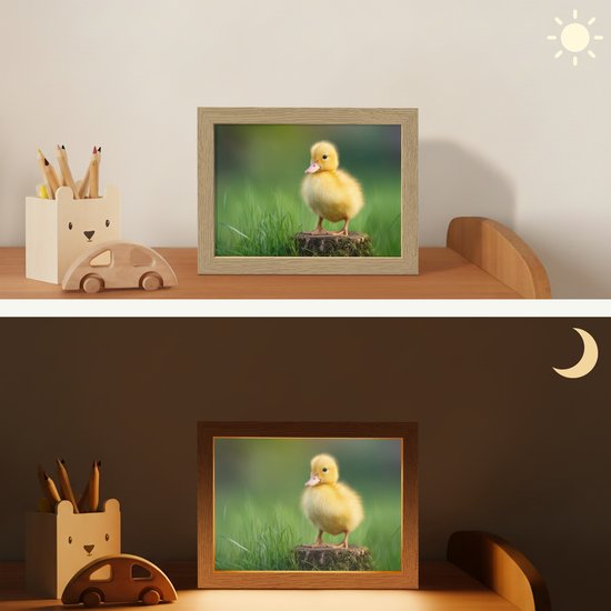 Nachtlampje 20x15 cm - Kinder lampje - Kuiken - Eend - Geel - Gras - Tafellamp kinderkamer - Slaapkamer lamp - Bedlamp kinderen - Kinderlampje stopcontact - Wandlamp babykamer - Nachtlampjes van Merkloos — afbeelding 4