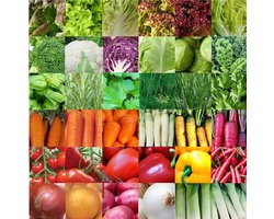 Groentezaden assortiment 36 soorten (sla, kolen, wortels, kruiden, tomaten, paprika, uien, prei) zaadlint