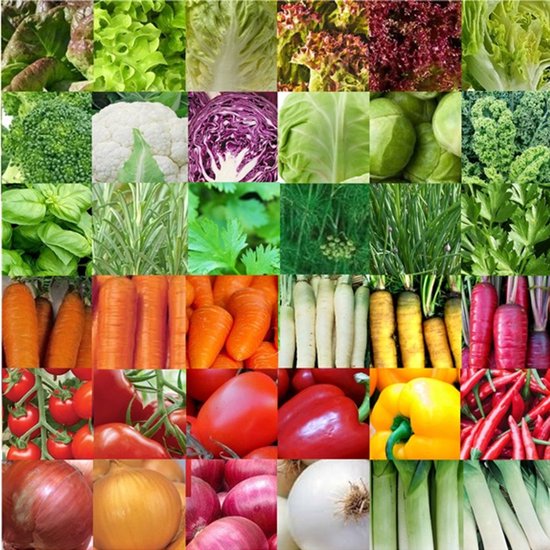Groentezaden assortiment 36 soorten (sla, kolen, wortels, kruiden, tomaten, paprika, uien, prei) zaadlint