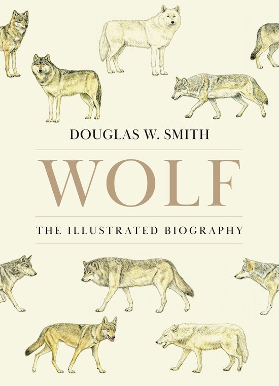 Wolf - cover