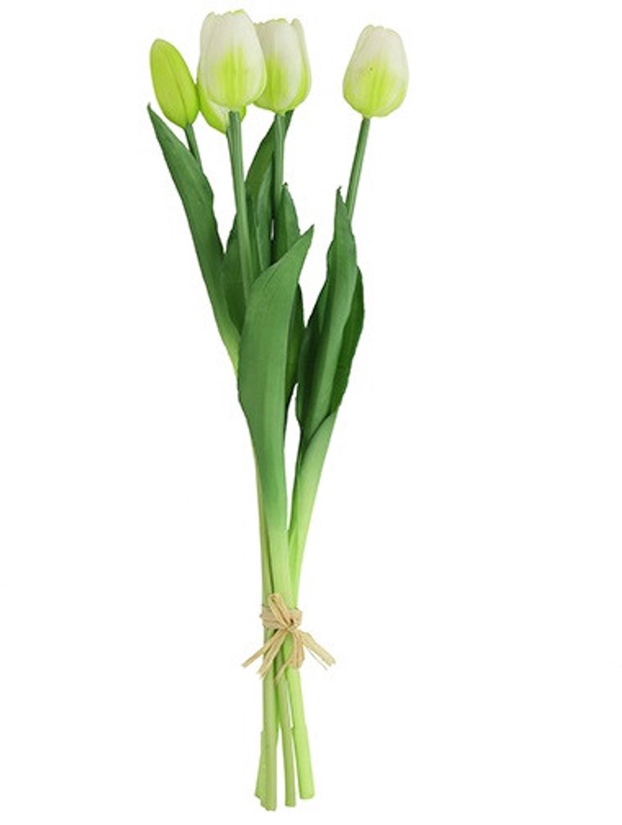 Countryfield Tulipa Boeket - Tulpen - Wit - 40 cm