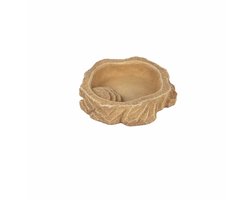Terra Della Waterschaal Sand voor reptielen | Natuurgetrouwe terrariumschaal met trapje S - 12x11,5x2,5CM