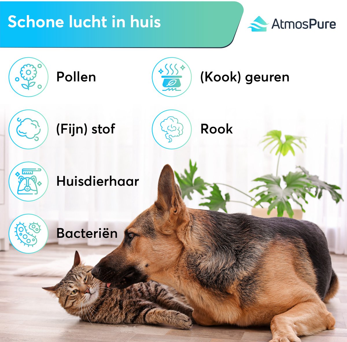 AtmosPure® CleanAir Luchtreiniger - Air Purifier met vervangbaar HEPA 13 + Koolstof filter - CADR 250 m³/h - Wit - Voor 98 m² - Filtert pollen, huisstofmijtallergenen en fijnstof - 3 standen + stille slaapstand - Luchtkwaliteit Sensor – foto 5