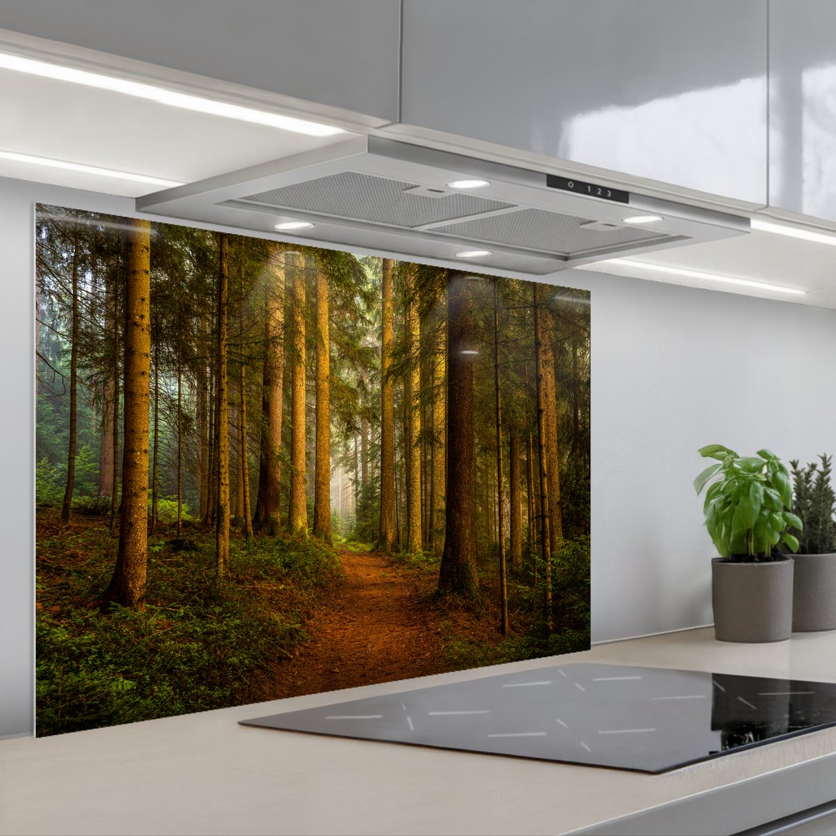 Spatscherm 90x60 cm - Zelfklevende achterwand Bos - Natuur - Bomen - Landschap - Bladeren - Keuken muurbeschermer - Spatwand fornuis
