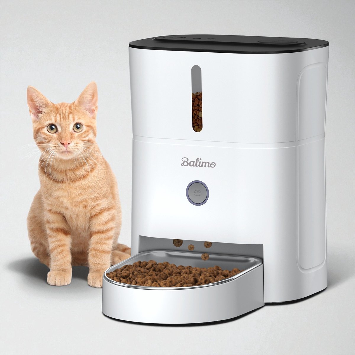 Balimo Automatische Voerbak Kat en Hond - Voerdispenser - Voerinhoud 3L - Voerautomaat - Voerautomaat Dispenser - Wit - Balimo - €40,59