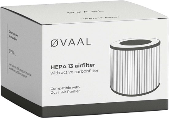 Doosje van luchtreinigerfilter met tekst 'HEPA 13 airfilter with active carbonfilter'.